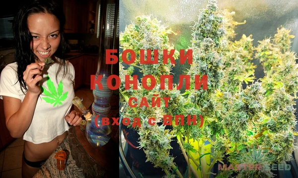 крисы Покров