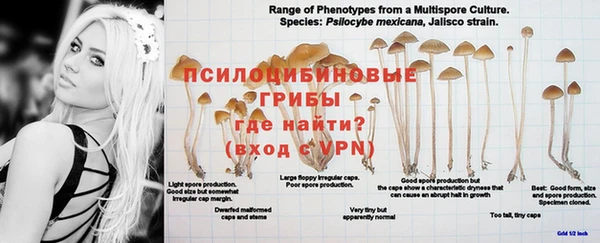 крисы Покров