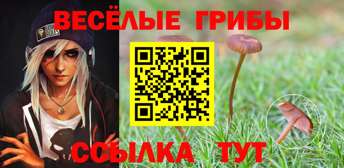 Галлюциногенные грибы прущие грибы  Вход с VPN  Советская Гавань 