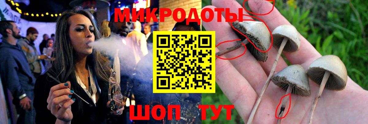 Псилоцибиновые грибы ЛСД Советская Гавань