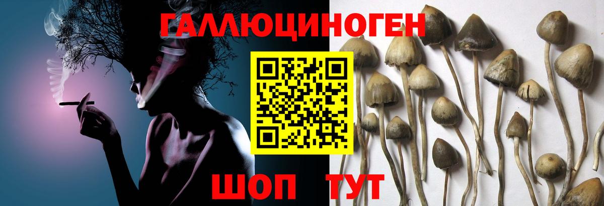 Псилоцибиновые грибы Magic Shrooms  Советская Гавань 