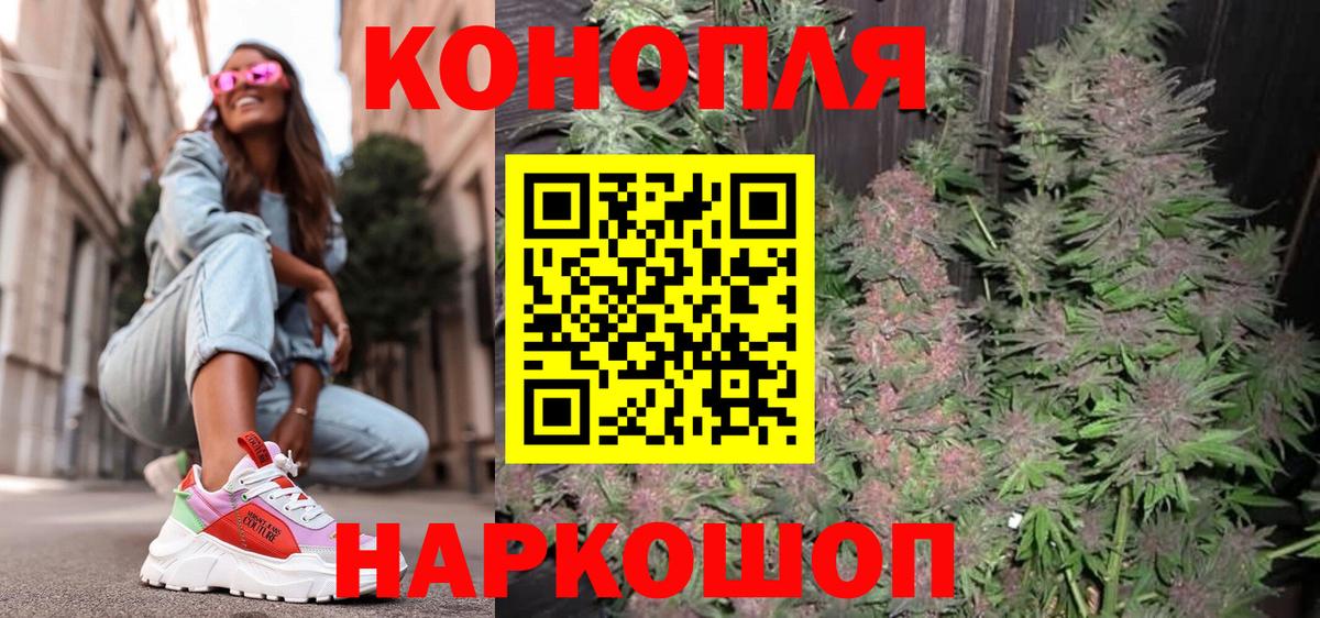 Конопля сатива  Вход с VPN  Советская Гавань  Канабис OG Kush 